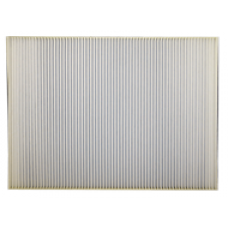 CABIN AIR FILTER