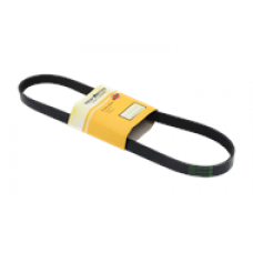 SERPENTINE BELT, 6 RIB