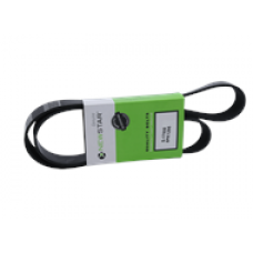 SERPENTINE BELT, 8 RIB