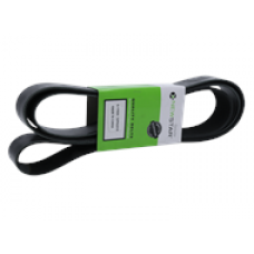 SERPENTINE BELT, 12 RIB