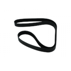 SERPENTINE BELT, 8 RIB