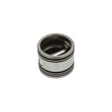 PISTON ASSEMBLY, 750-.010