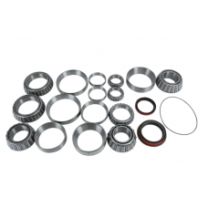 BEARING & SEAL KIT