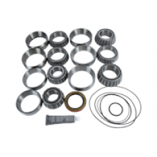 BEARING & SEAL KIT