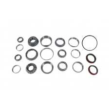 BEARING & SEAL KIT